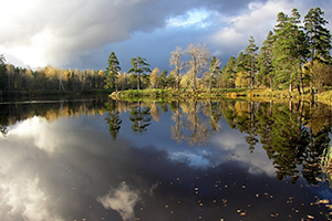 Ломоносов. Красный пруд.